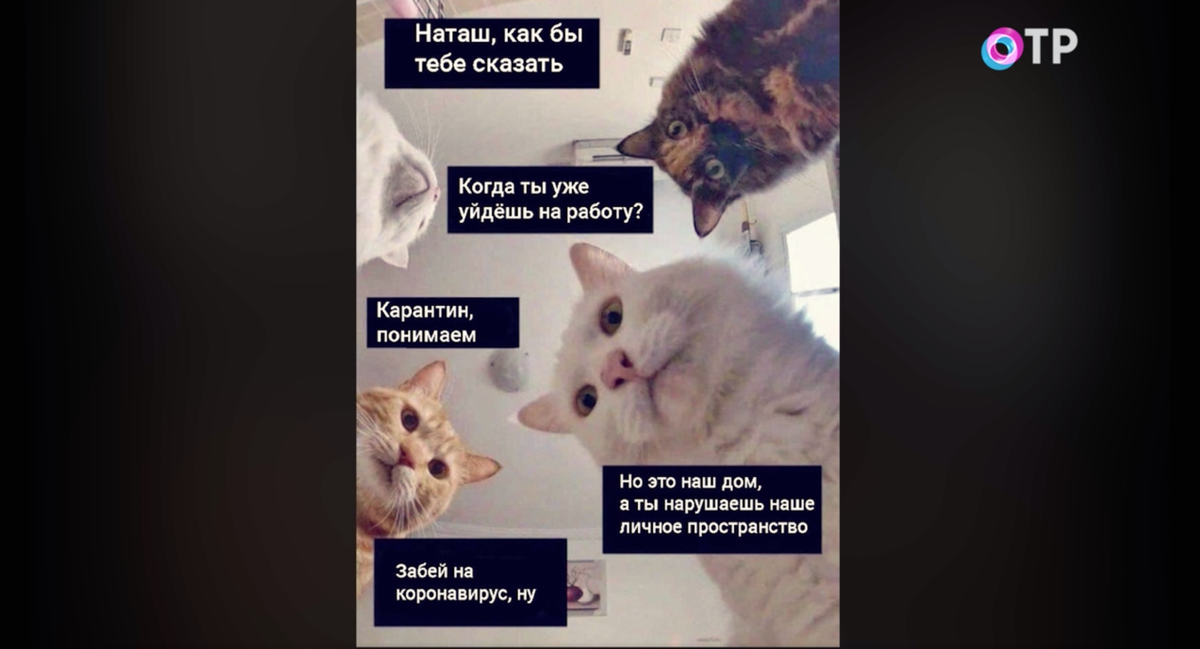 Скриншоты с сайта ОТР