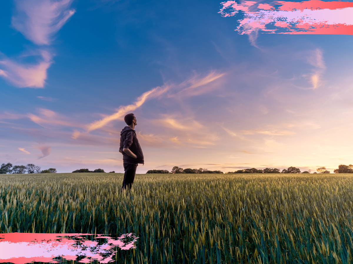 Photo by Benjamin Davies on Unsplash