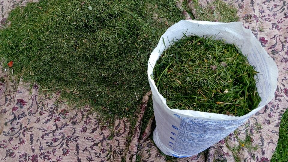 Мешочные грядки. Фото автора