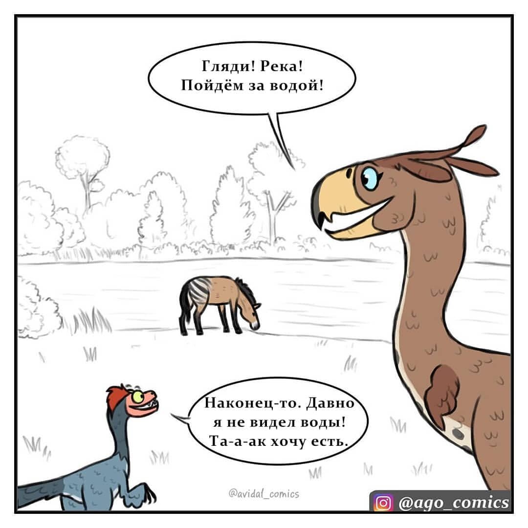 №4.1: Твиг очень соскучился по воде