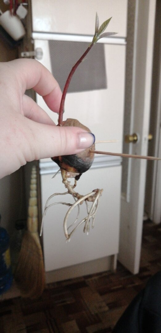 месяц и вот он