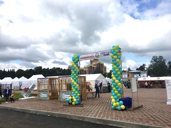 Гастрофестиваль в Песчанке. Фото из ВК-группы "Петербургский гражданин" 
