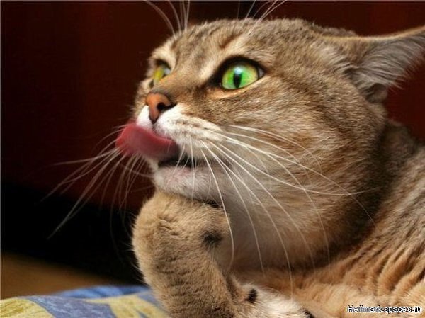 Вот вот, вроде задумался, а потом решил...