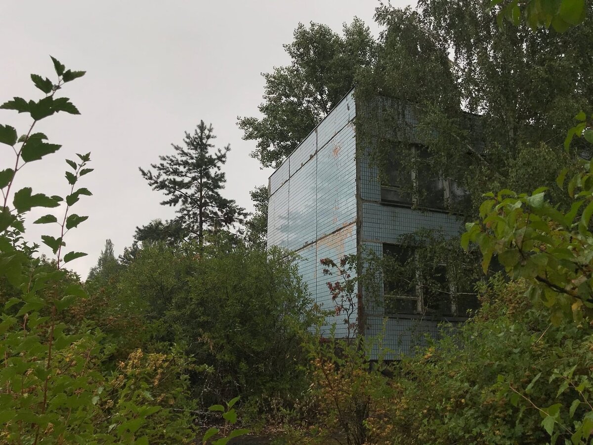 Детский сад "Василёк"