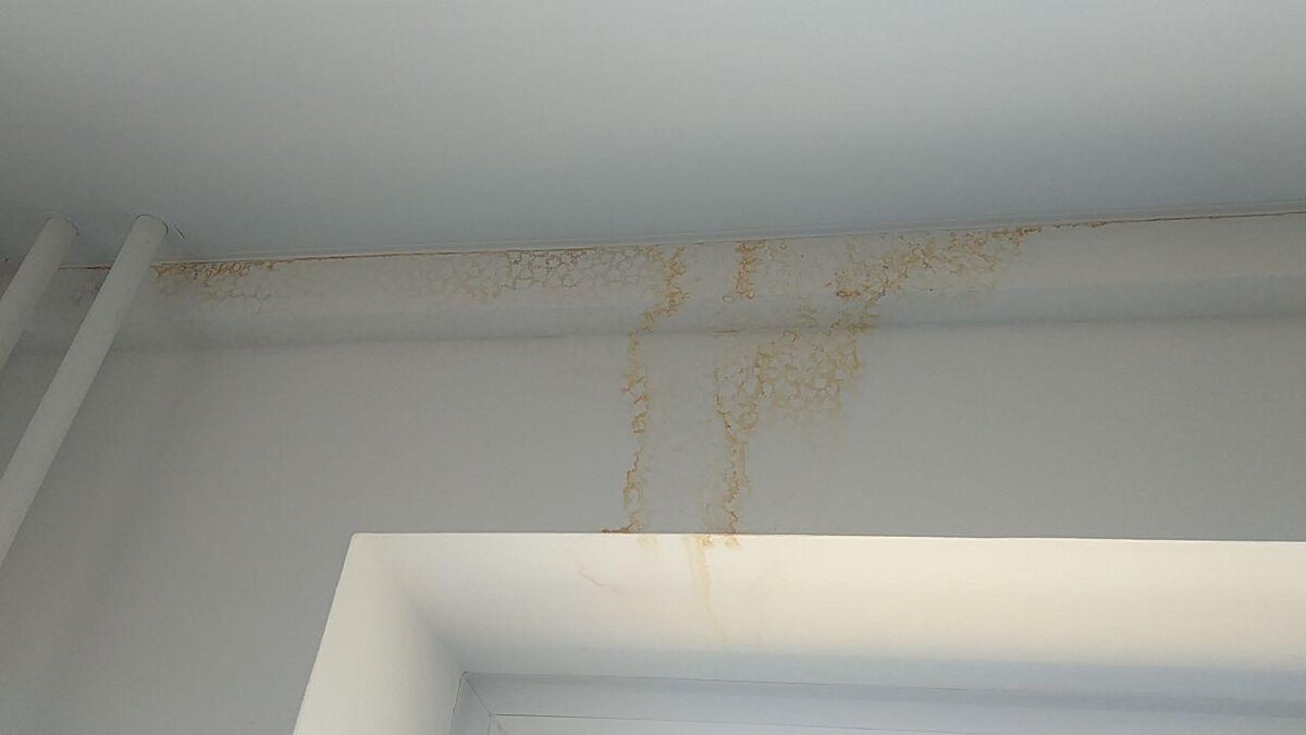 Ни за что больше не куплю квартиру в человейнике от ПИК. Все минусы ...