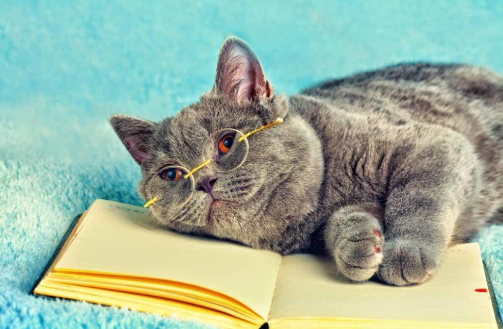 С сайта: http://i.mycdn.me/i?r=AzEPZsRbOZEKgBhR0XGMT1RkCN7ZJ2aLVTSur7SPuP0qk6aKTM5SRkZCeTgDn6uOyic