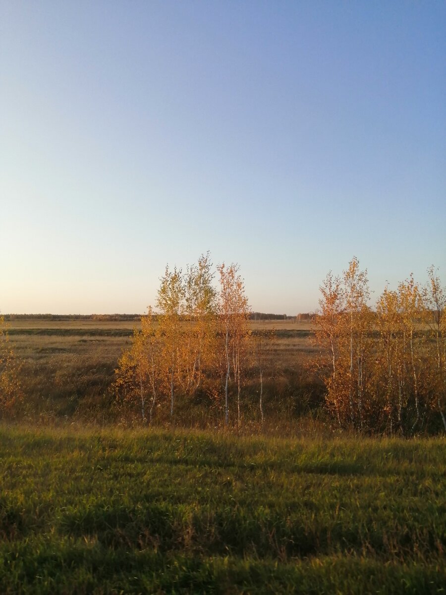 Фото автора. Осень. 