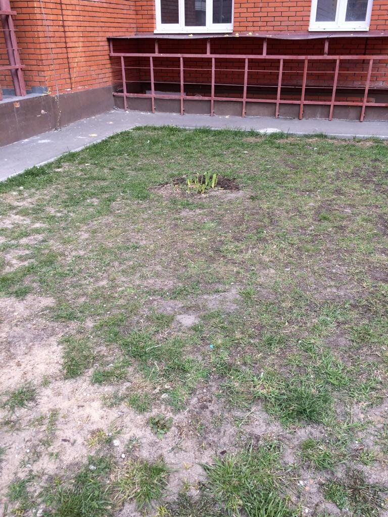 Начало апреля. О клумбе напоминают только листья ирисов. 