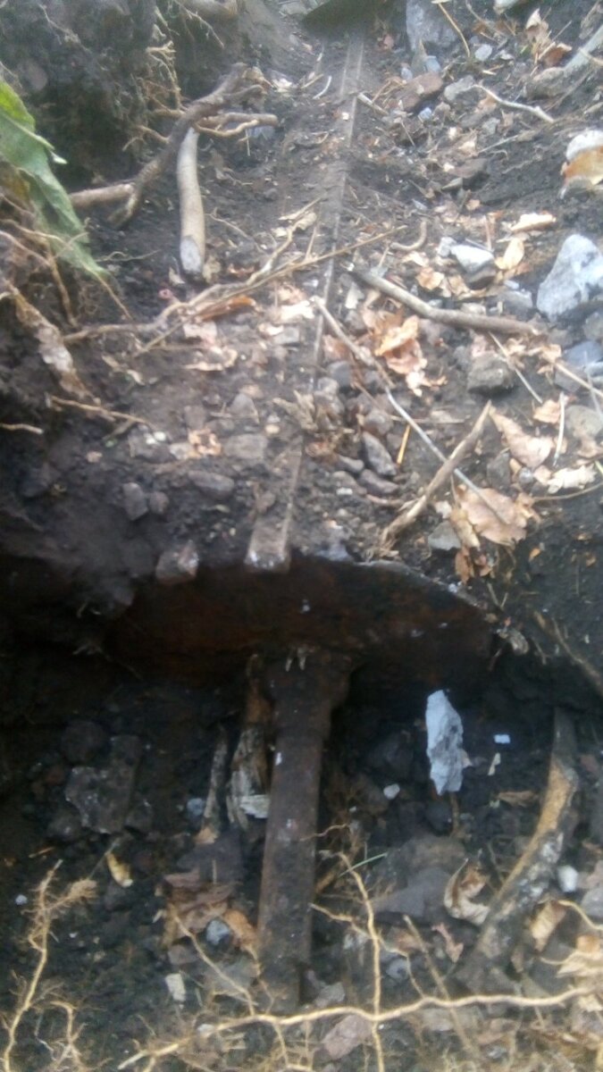 Выкопал на свою голову  фото 1