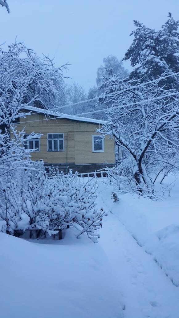 Дача свекрови- наше первое пристанище после переезда
