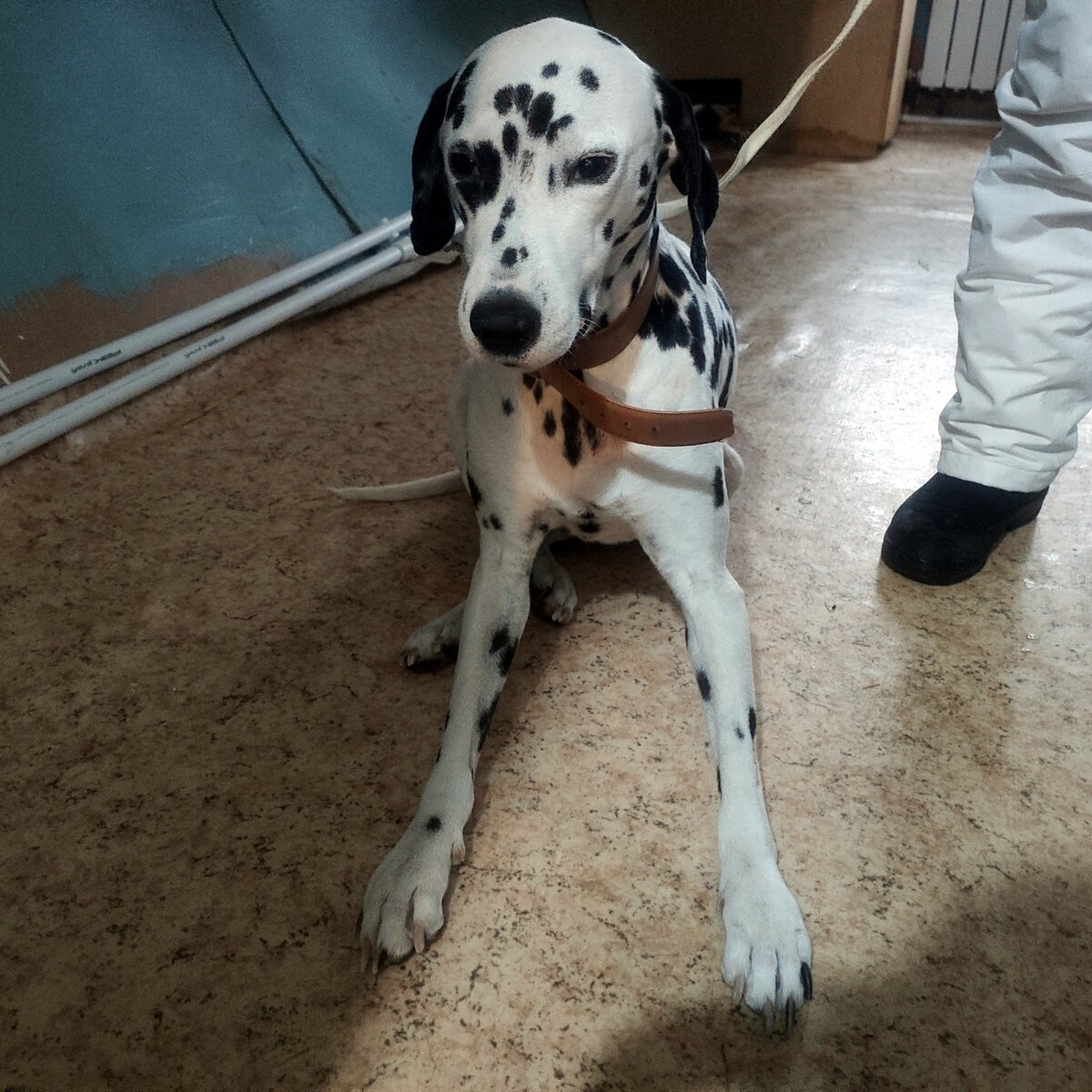 Её семья подписала для Герды смертный приговор 