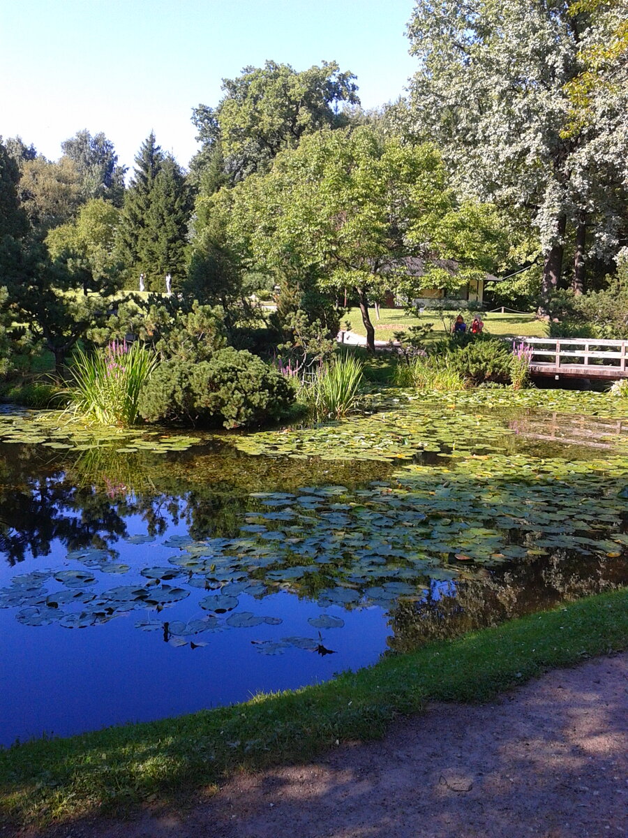 Очень красивое место 