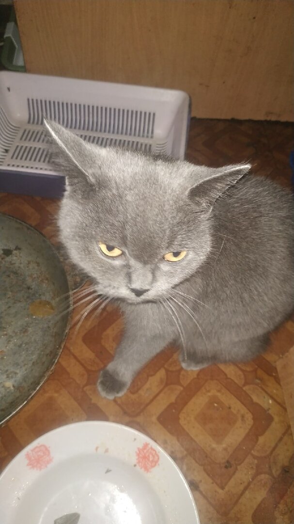 Симочка
