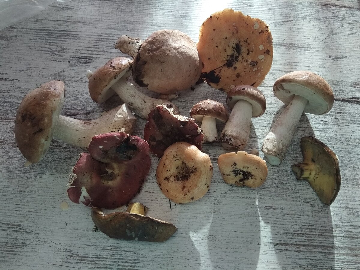 Листай галерею, там еще много фото)))