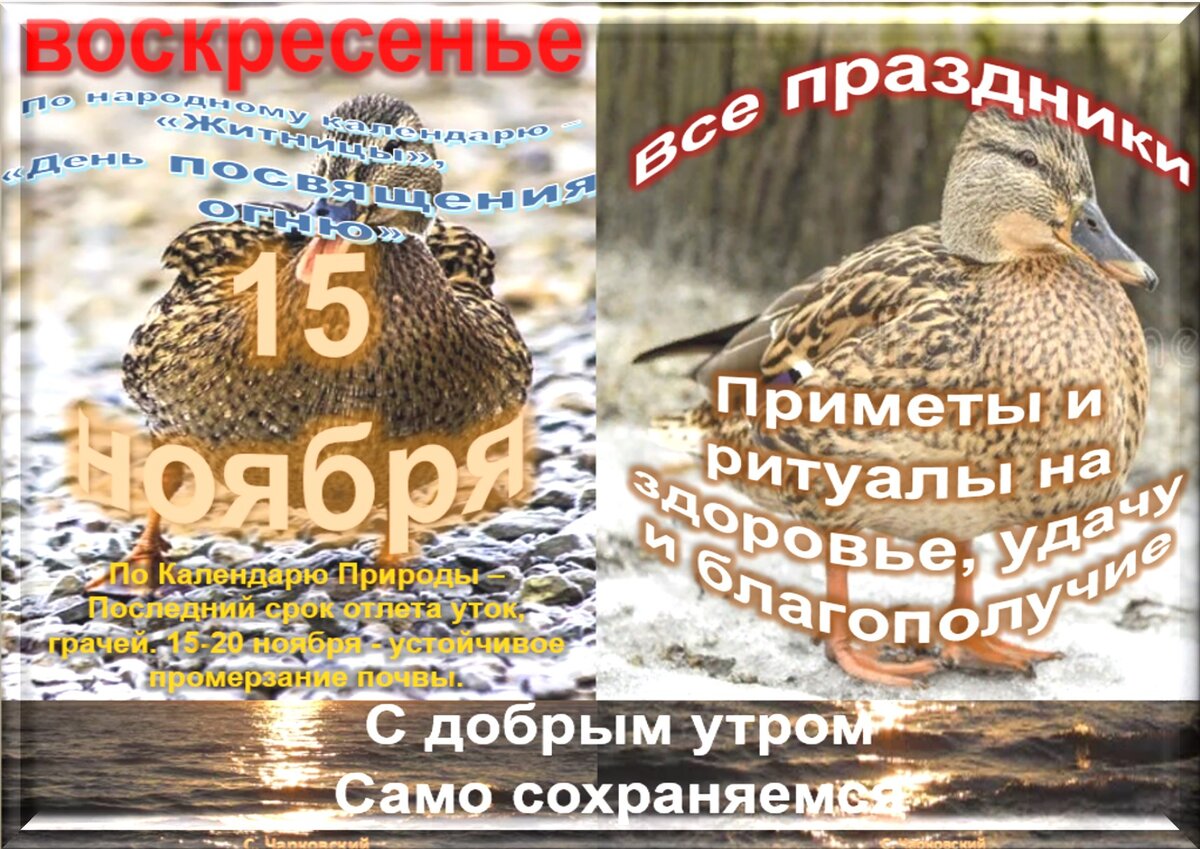 Встречаем новый день