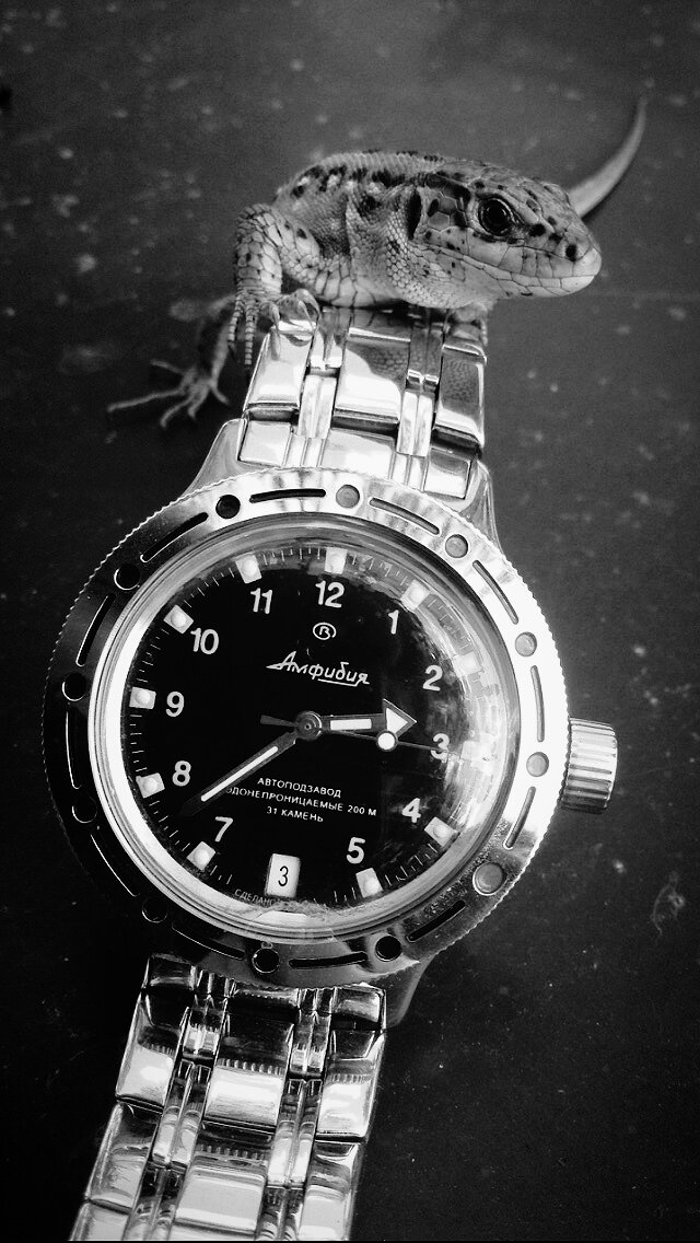 Механические часы Восток Амфибия в 420м корпусе. Фото автора.