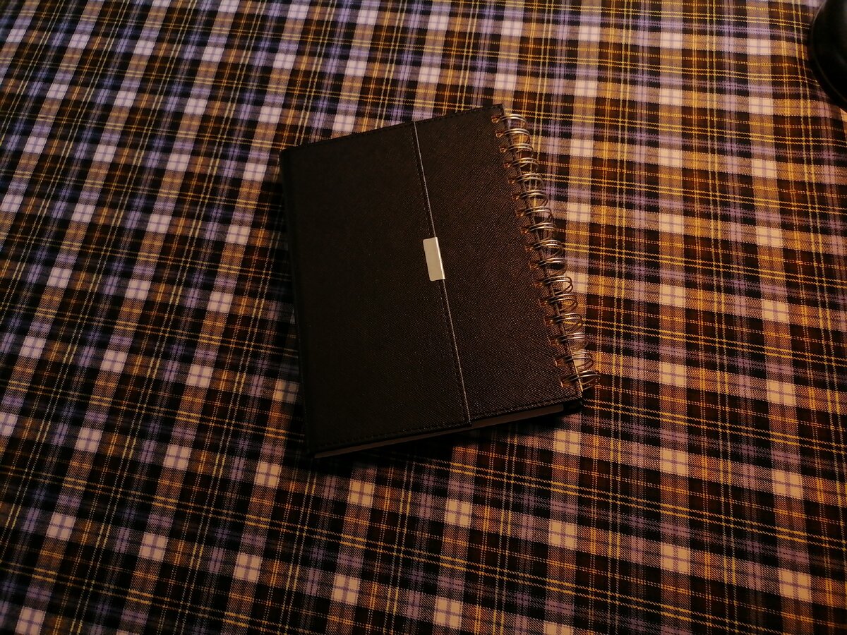 Ежедневник в таком случае просто необходим!