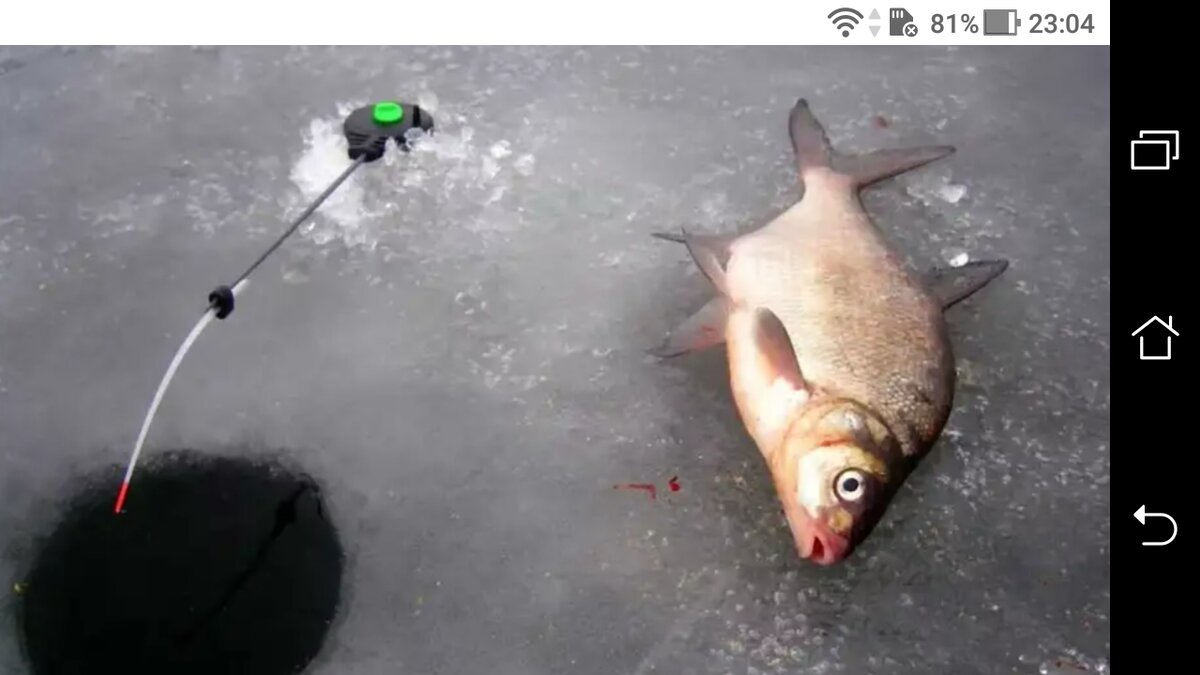 фото Поплавочная удочка снасть на подлещика + 1-5 см