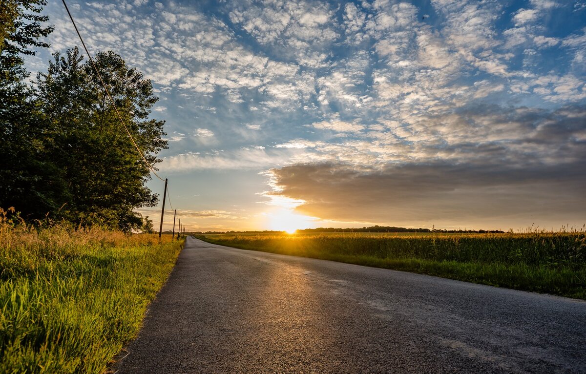 Яндекс Картинки