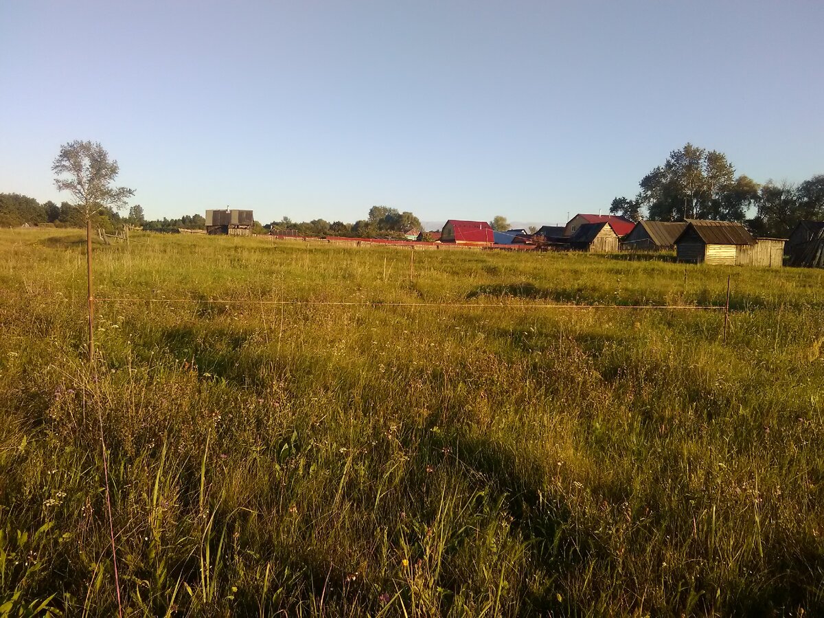 Разметка на дальнем краю участка.