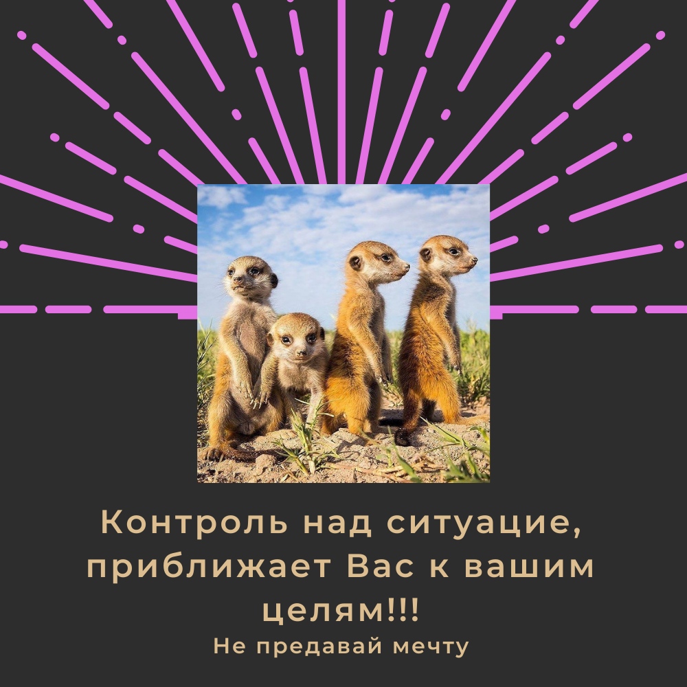 Сделано в canva.com