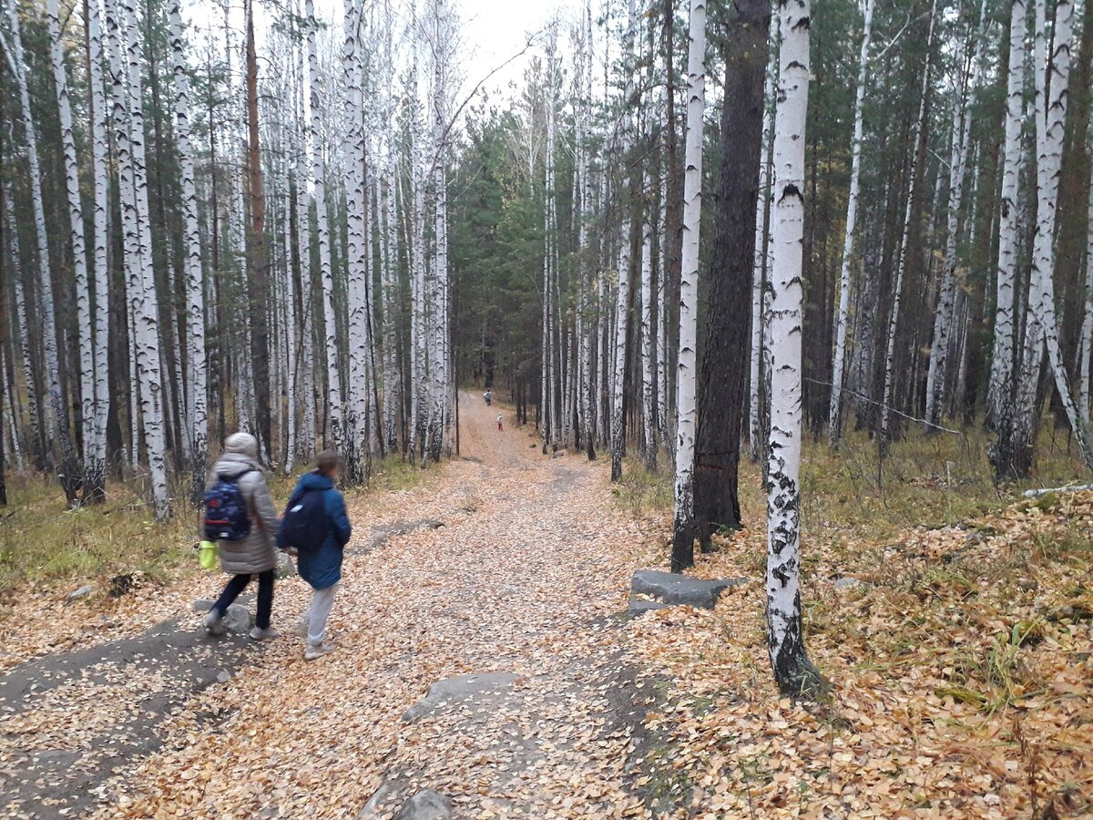 Эта тропа идёт с самой большой горки, которую придётся покорить по дороге на Петрогром. Фото атвора.