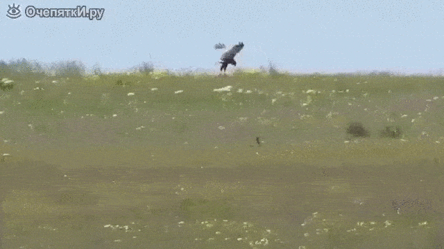 А ну иди сюда, ты ко мне решил лезть?