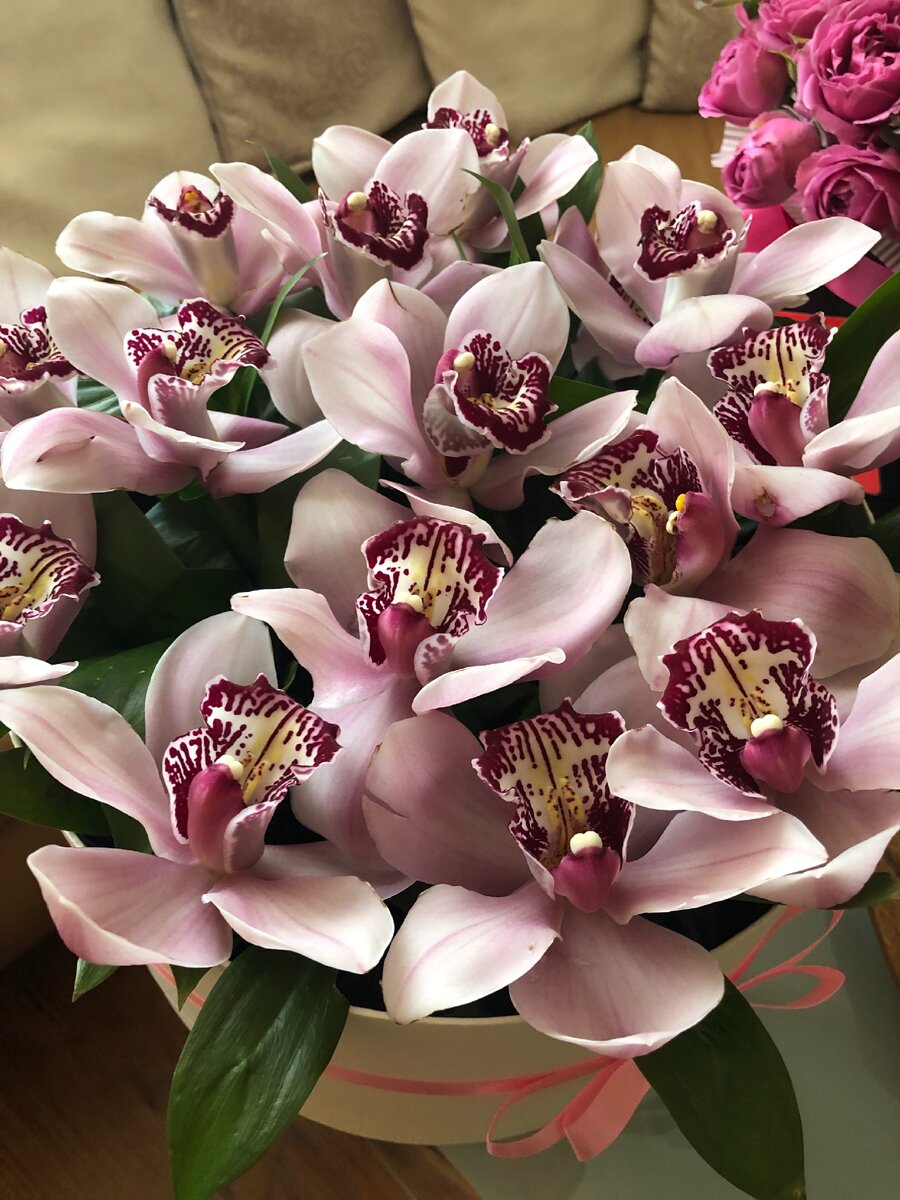 Фото автора статьи. 
