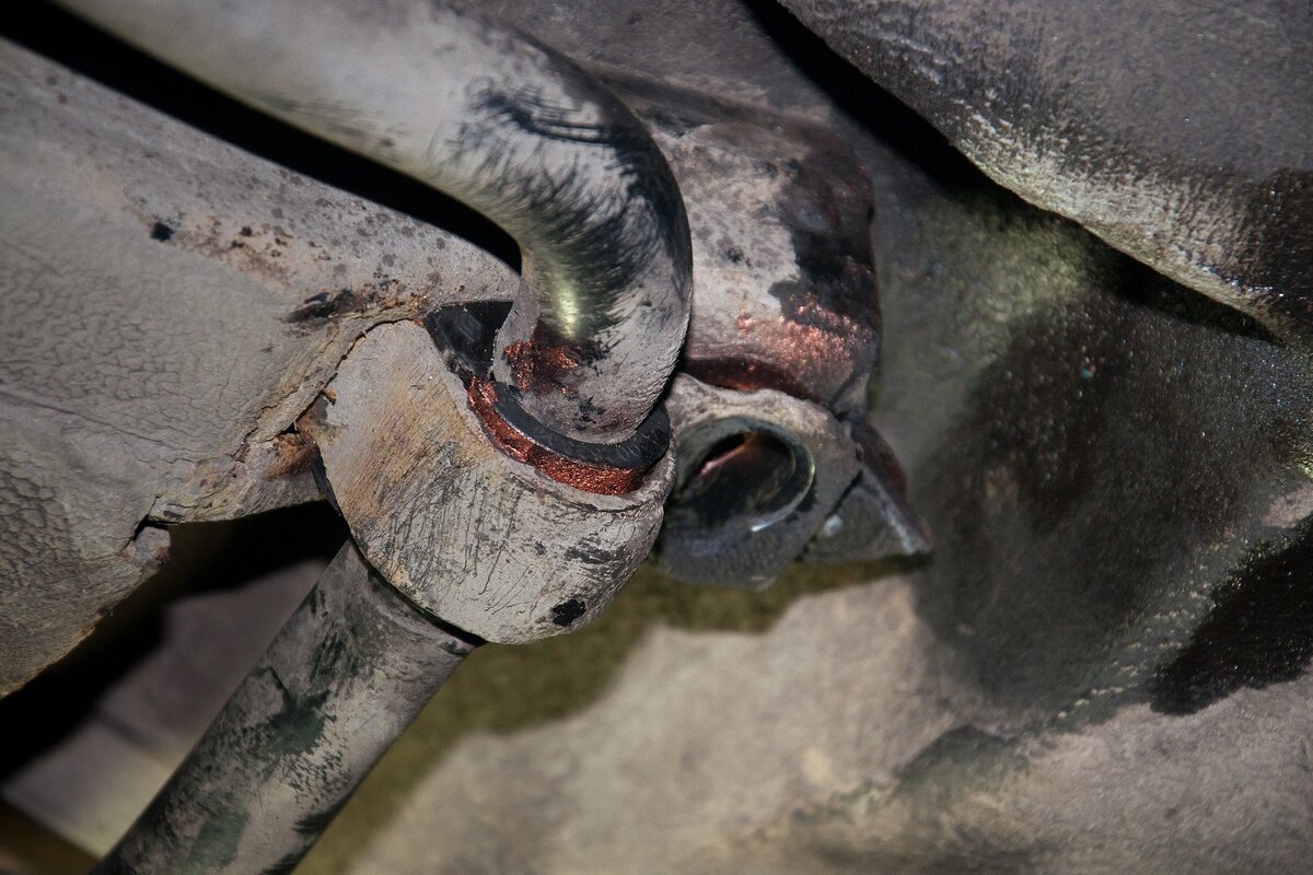 Фото взято с Яндекс картинки.