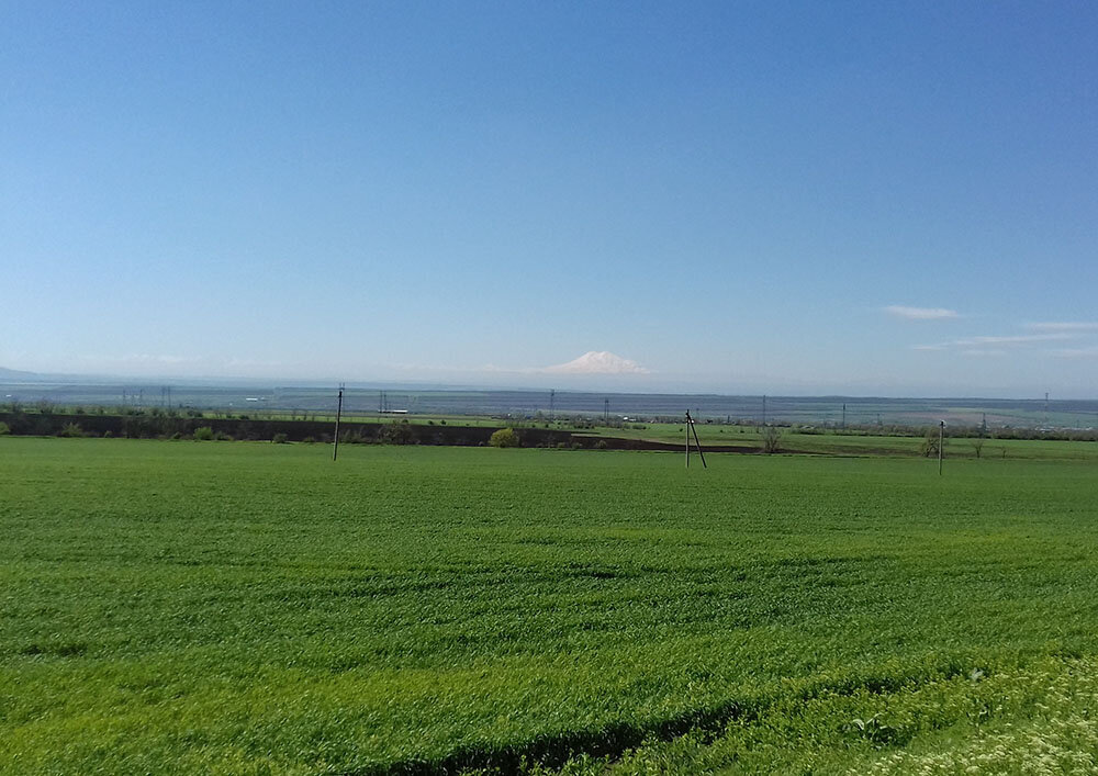 Поля до горизонта. А в дымке видно Эльбрус