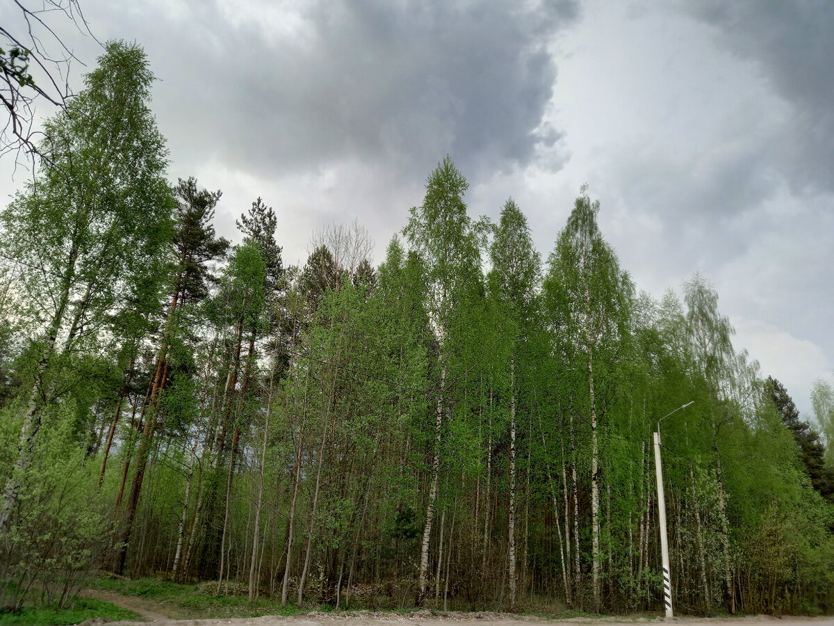 Бывают и тучи... Фото автора.