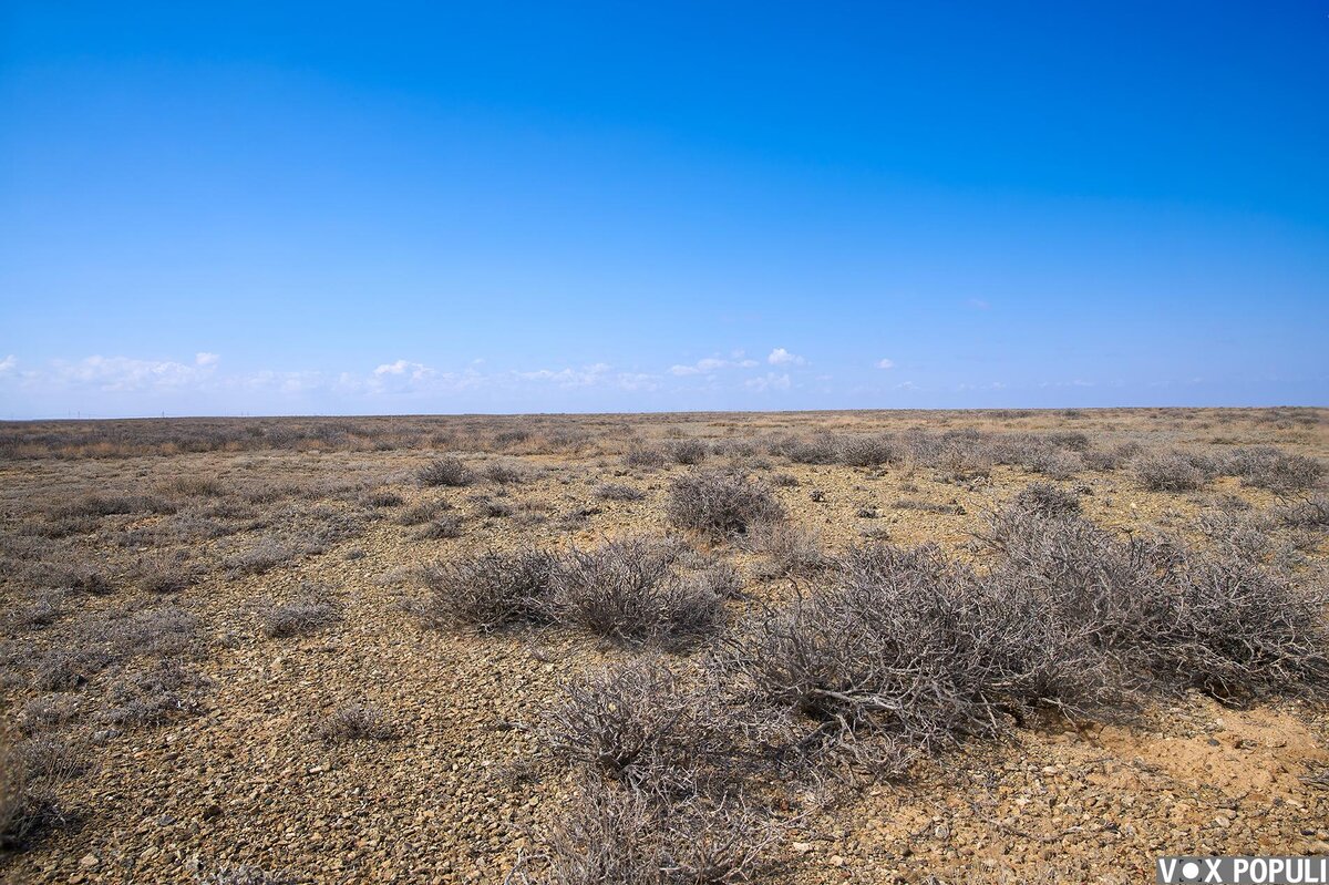 Desert day. Пустыни Казахстана. Пустыня голодная степь. Пустыня Сарыарка.