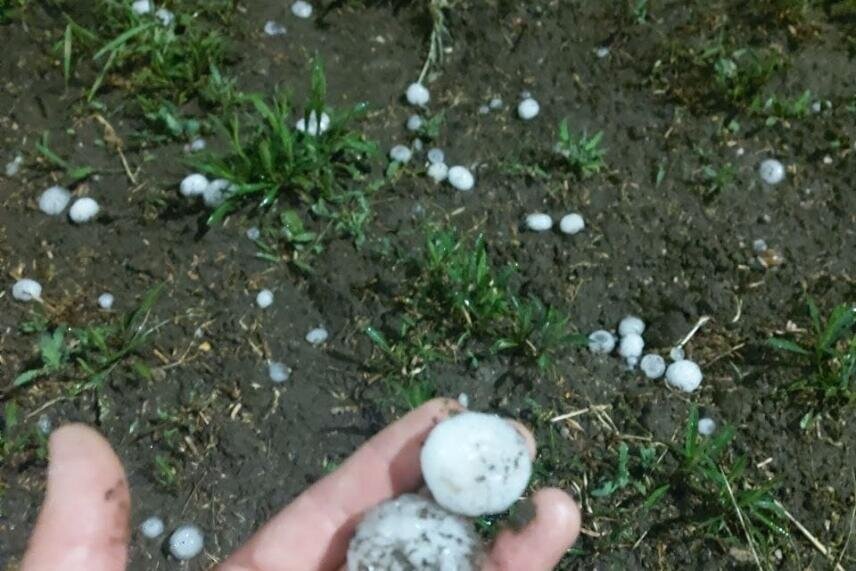 Фото: telegram.org 