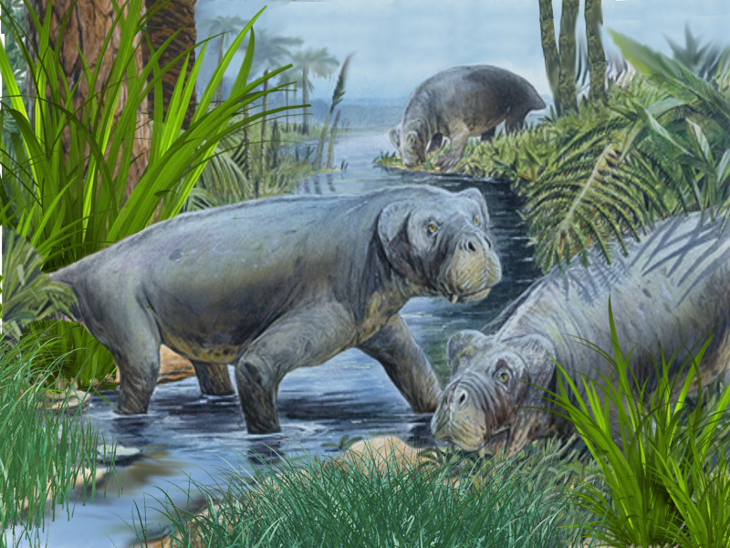 Мезая. Листрозавр Триасового периода. Листрозавры (Lystrosaurus),. Листрозавр динозавр Триасового периода. Листрозавр Пермского периода.