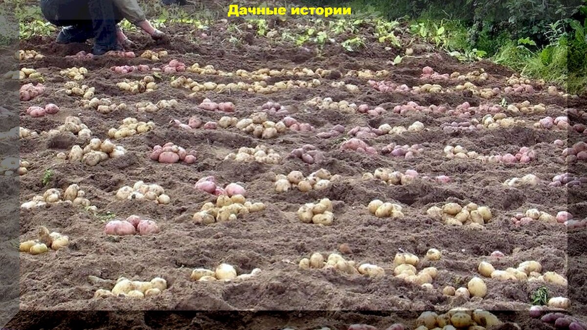 https://vk.com/photo-159774511_457248734
