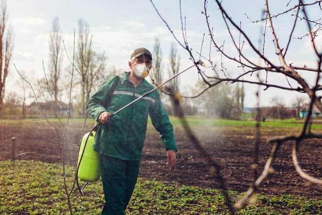 Подготовка сада к зиме
