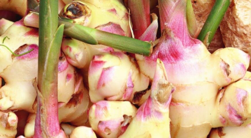 взято из Яндекс.Картинки