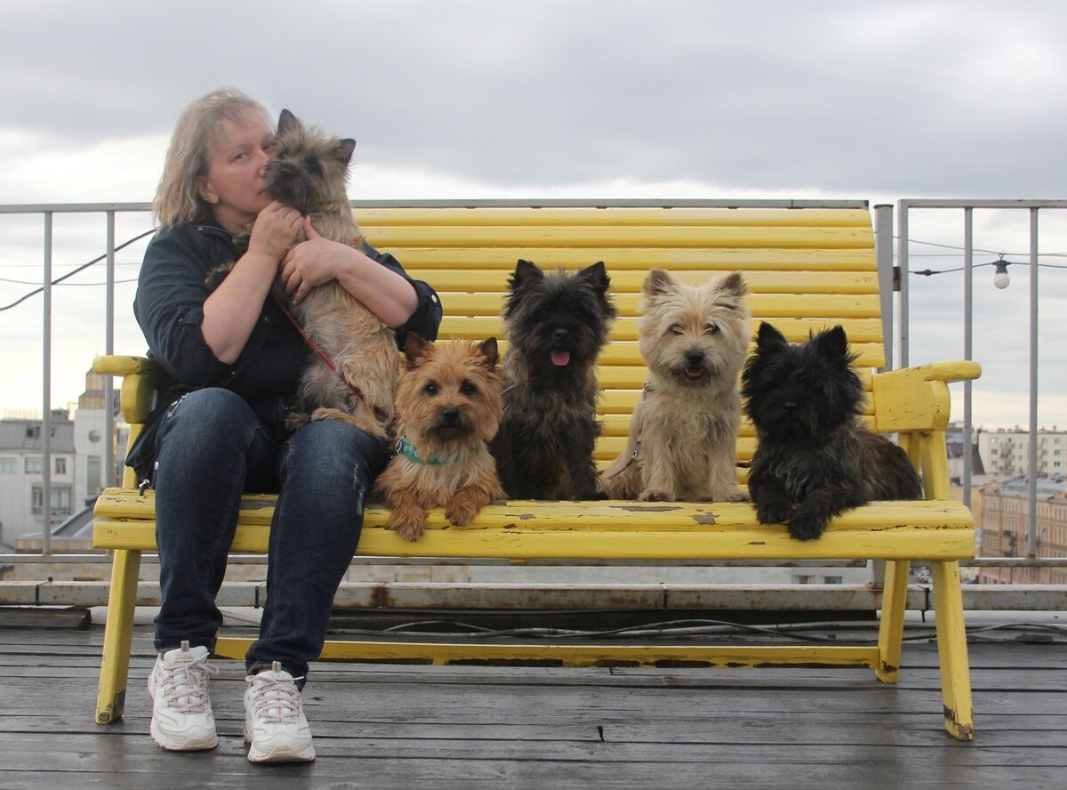 Керны лучшие компаньоны