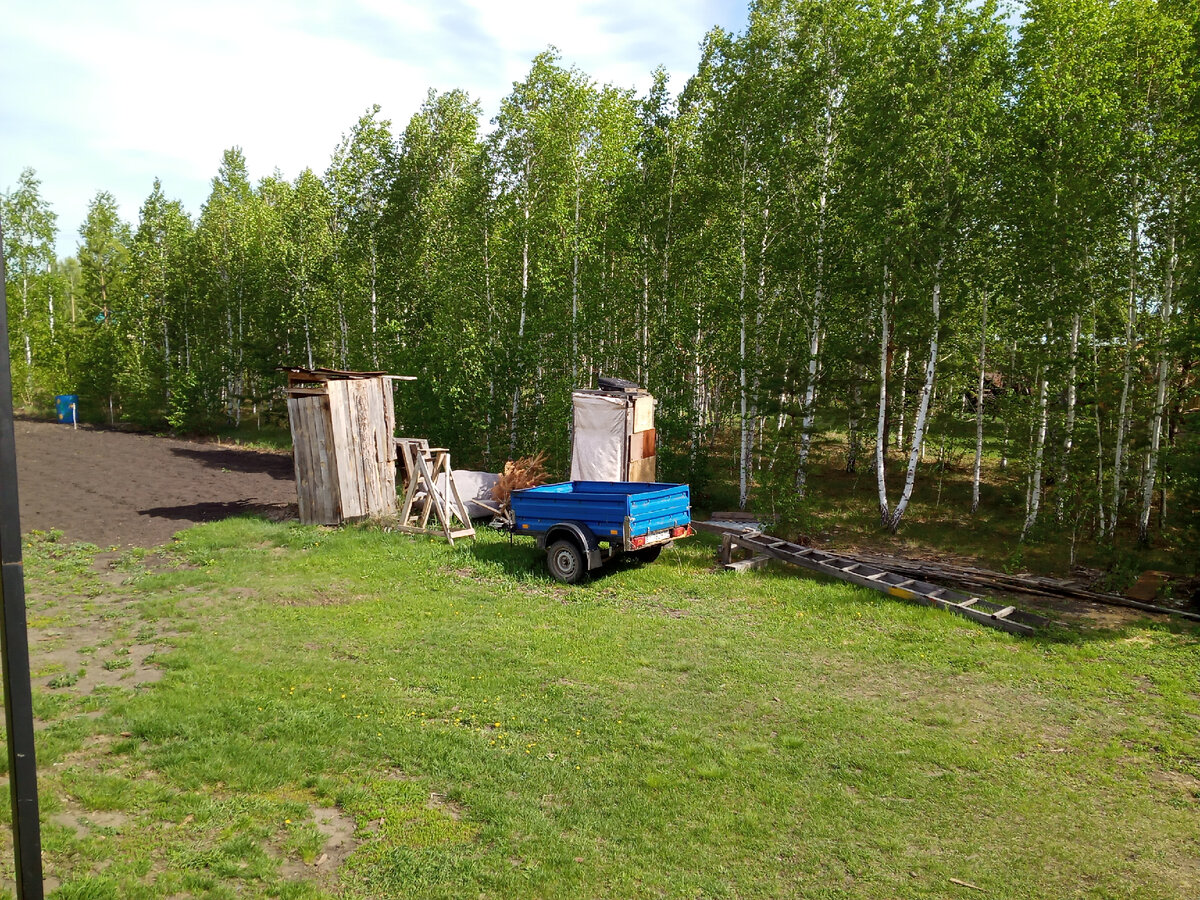 Сейчас вокруг моего участка лес