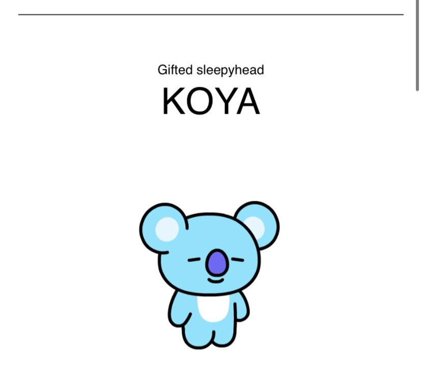 BTS. Источник:BT21.