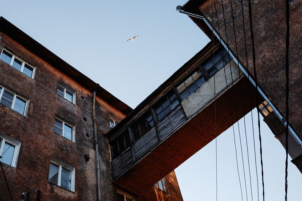 Фото: Илья Большаков