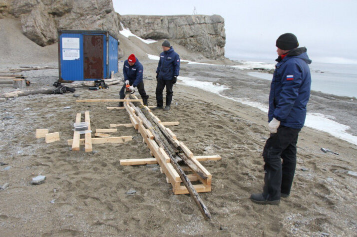 Фото: ФГБУ "Национальный парк "Русская Арктика"