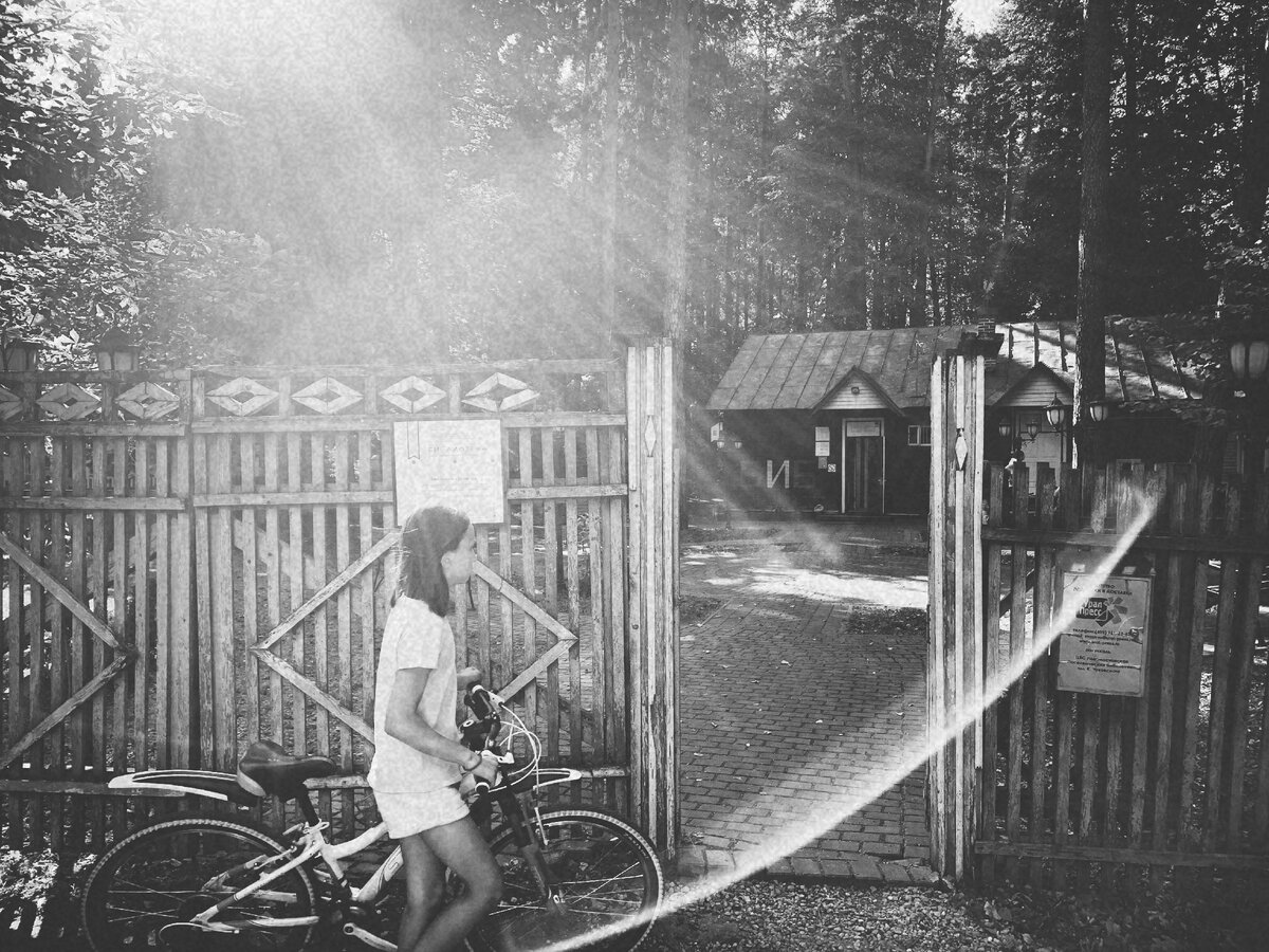 Переделкино | Тоня Пушкина 👀 Солнце в цветочек | Дзен