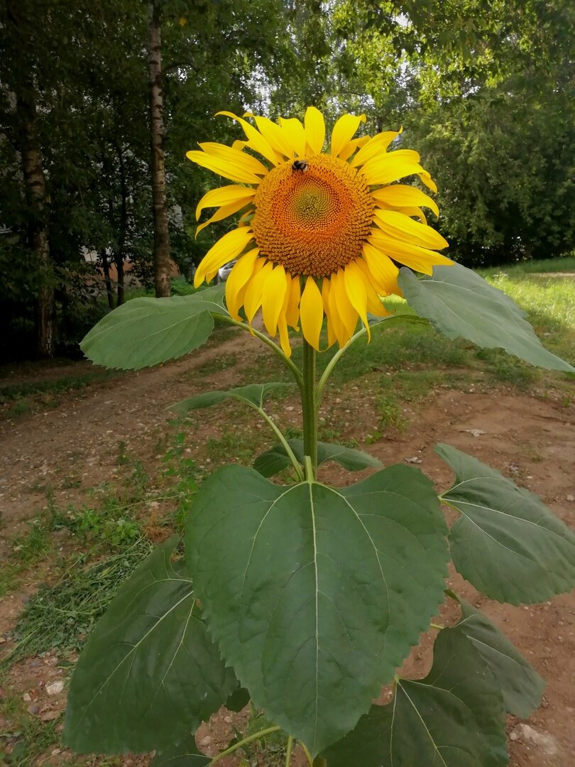 (Фото из соцсети)