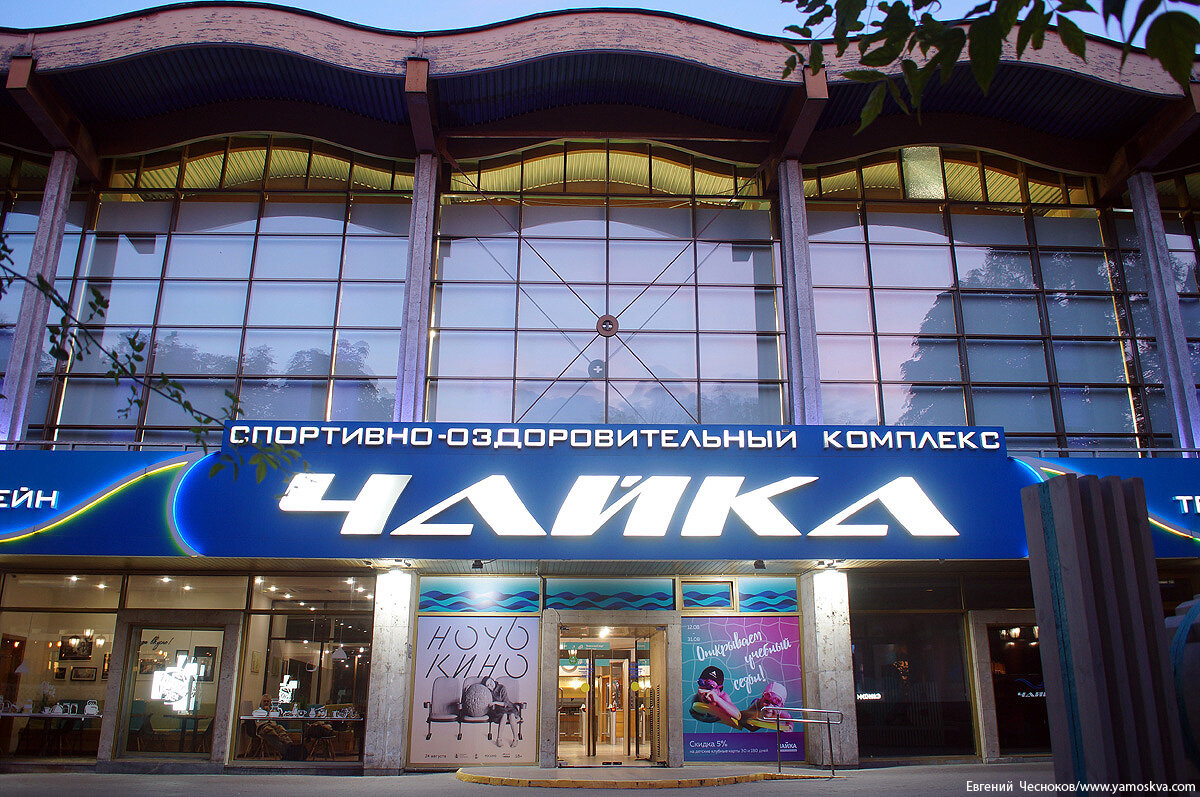 Чайка московская ул 7 фото