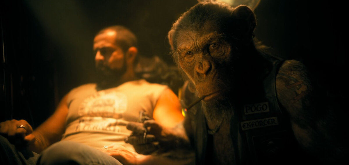 Дата выхода: 2022 год / 10 серий