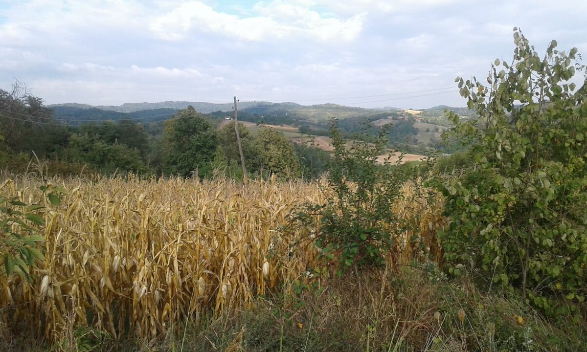 Фотография  автора. Сербия.