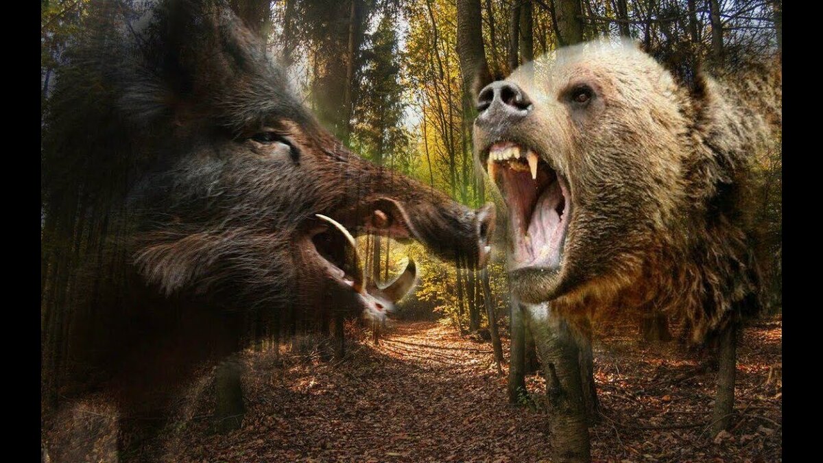 фото из интернета