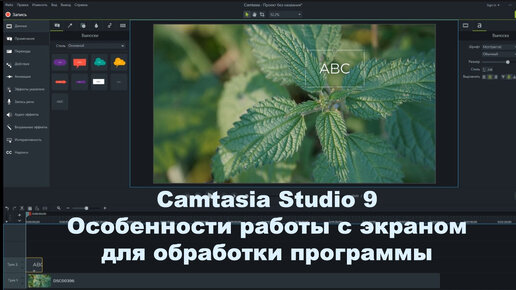 Camtasia Studio 9. Особенности работы с экраном для обработки программы