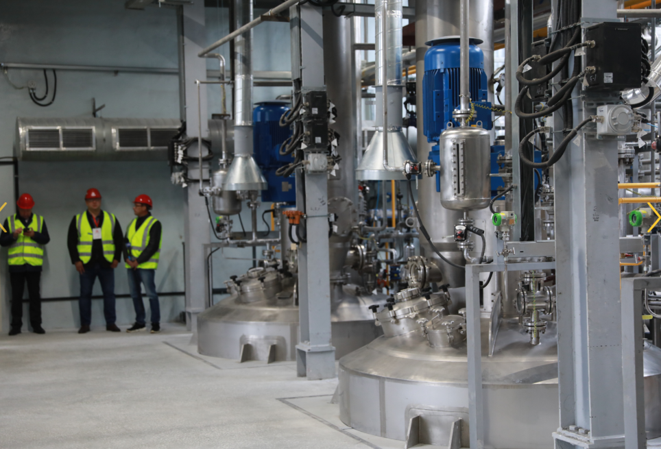 ���� �� �������� ����������